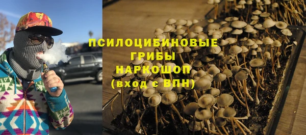 твердый Корсаков