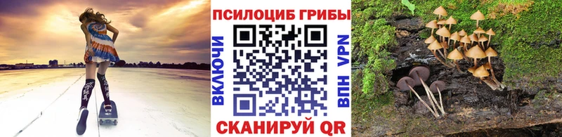 Псилоцибиновые грибы прущие грибы  Купить закладки  Волоколамск 